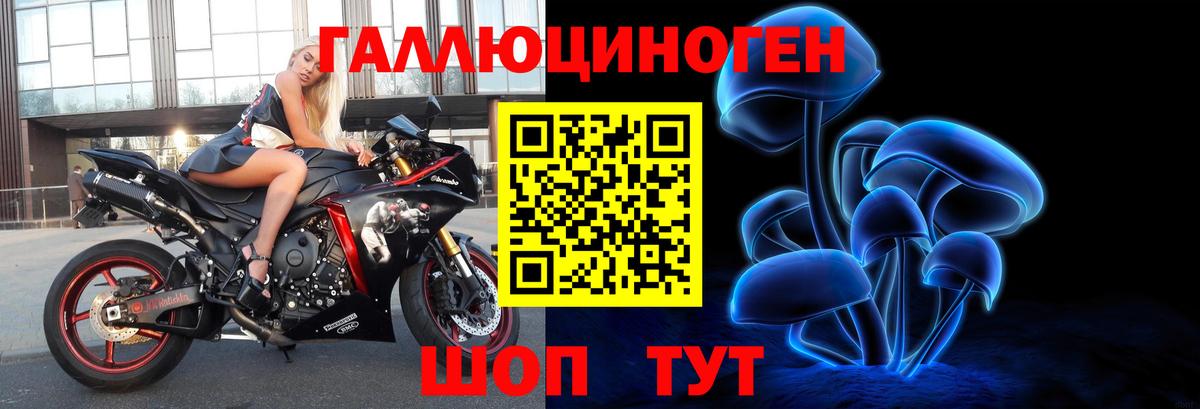 Красный Сулин  Псилоцибиновые грибы MAGIC MUSHROOMS  Вход с VPN 