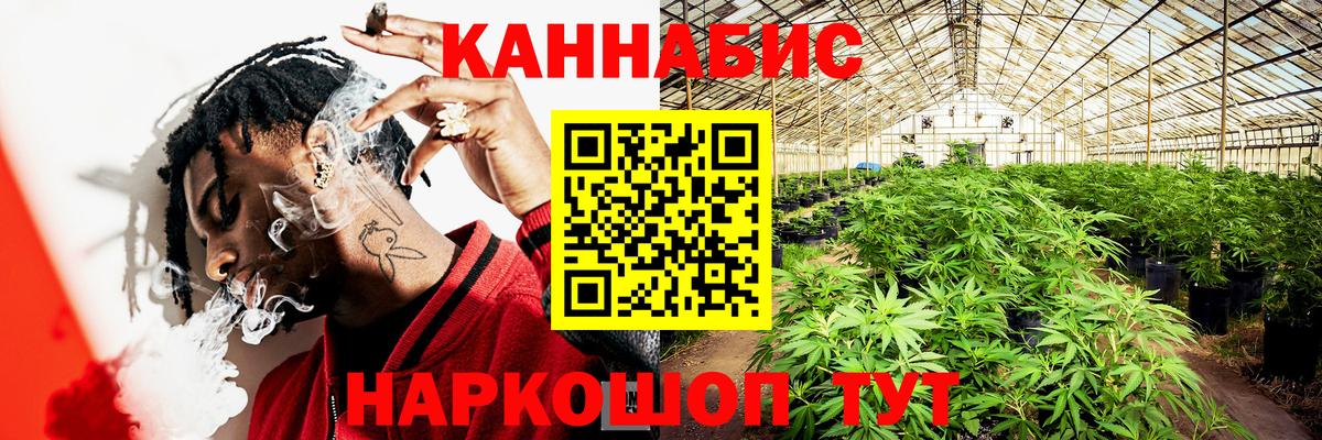 Каннабис SATIVA & INDICA Красный Сулин